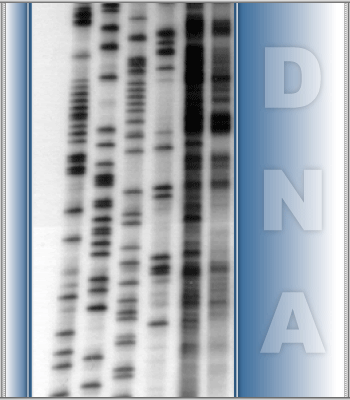 DNA