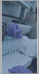 Image of Laboratory Worker Collecting Samples from Tubes