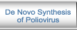 De Novo Synthesis of Poliovirus