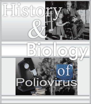 History and Biology of Poliovirus Image