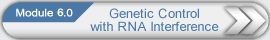 Genetic Control with RNA Interference